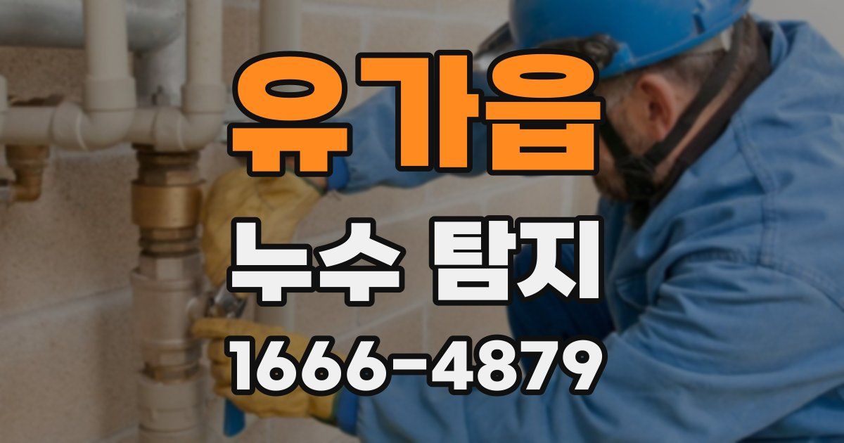 유가읍 누수 탐지