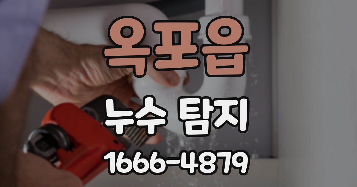 옥포읍 누수 탐지