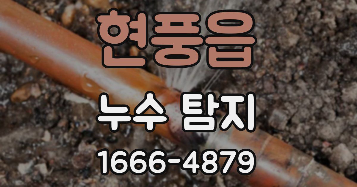 현풍읍 누수 탐지