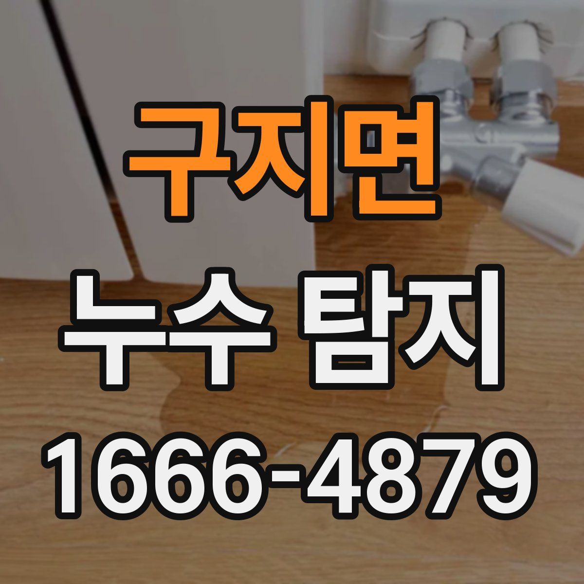 구지면 누수 탐지