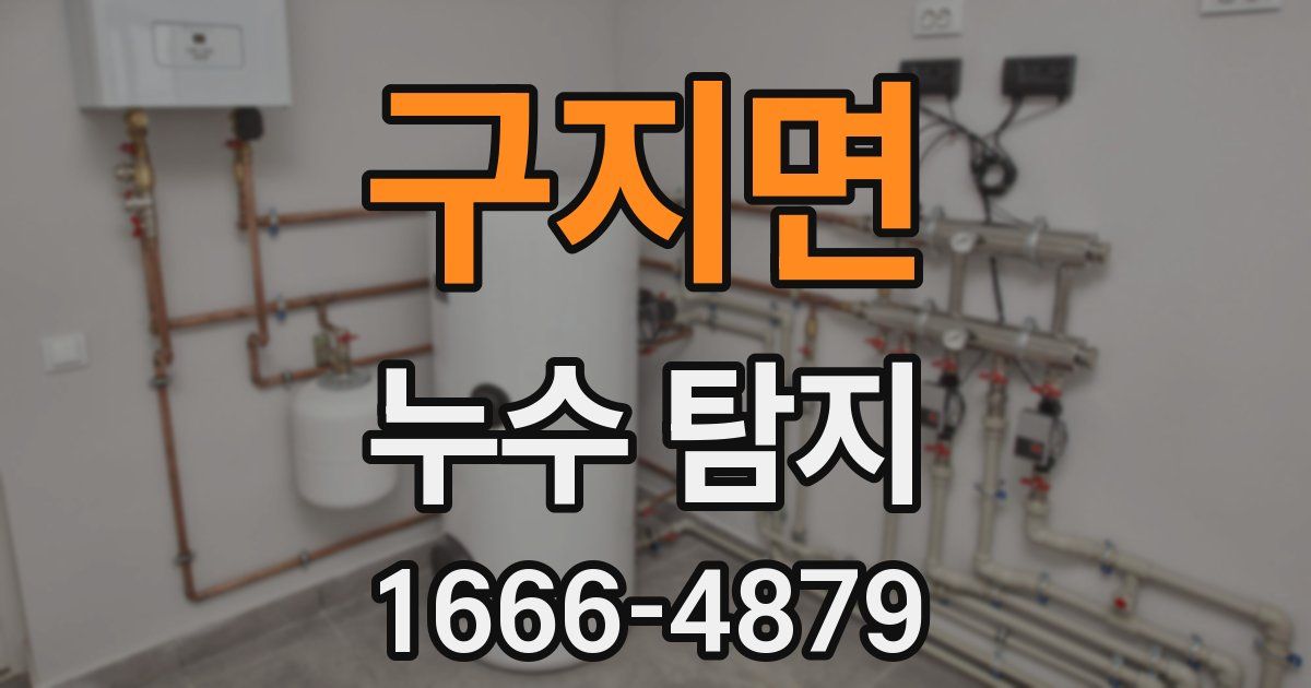 구지면 누수 탐지