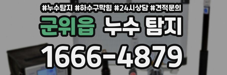 군위읍 누수 탐지