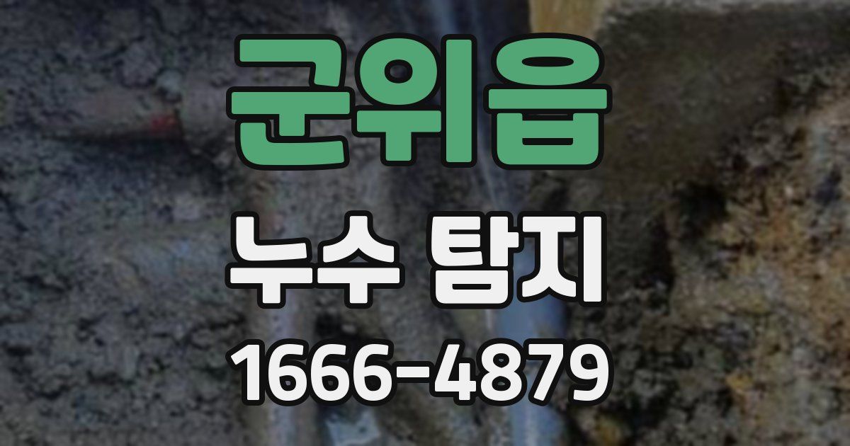 군위읍 누수 탐지