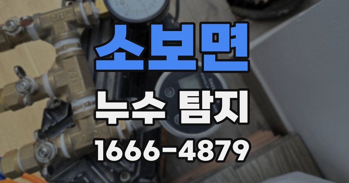 소보면 누수 탐지