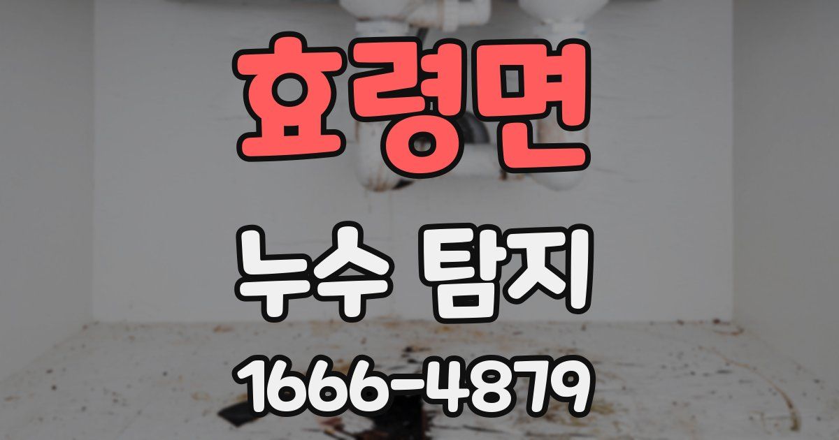 효령면 누수 탐지