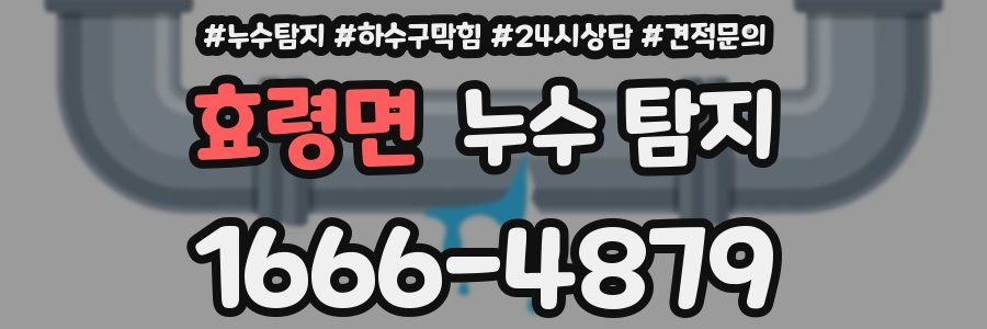 효령면 누수 탐지