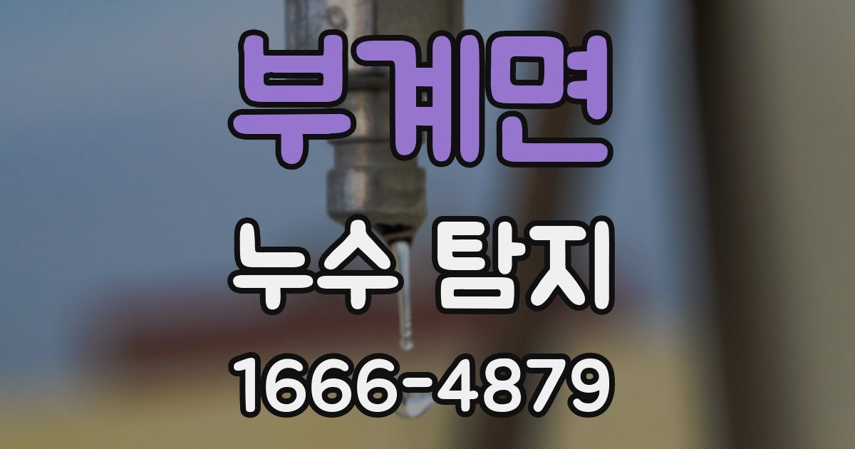 부계면 누수 탐지