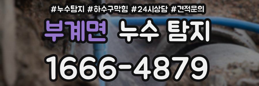 부계면 누수 탐지