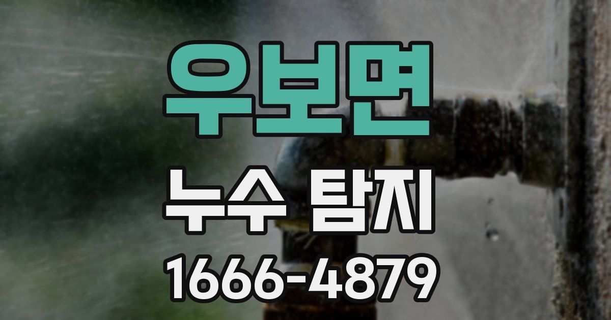 우보면 누수 탐지