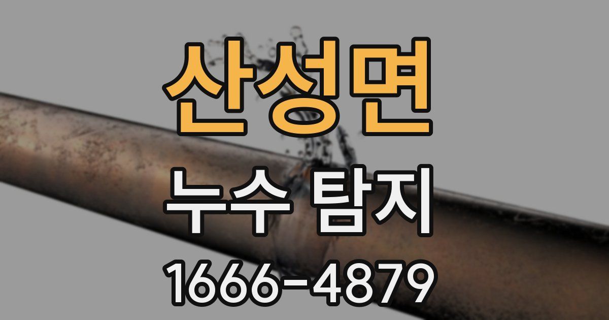 산성면 누수 탐지