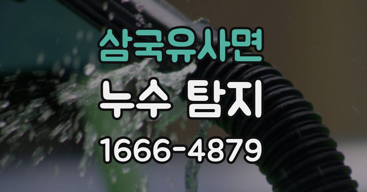 삼국유사면 누수 탐지