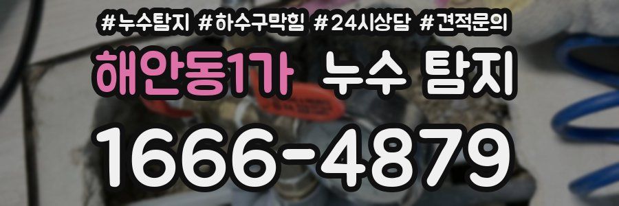 해안동1가 누수 탐지