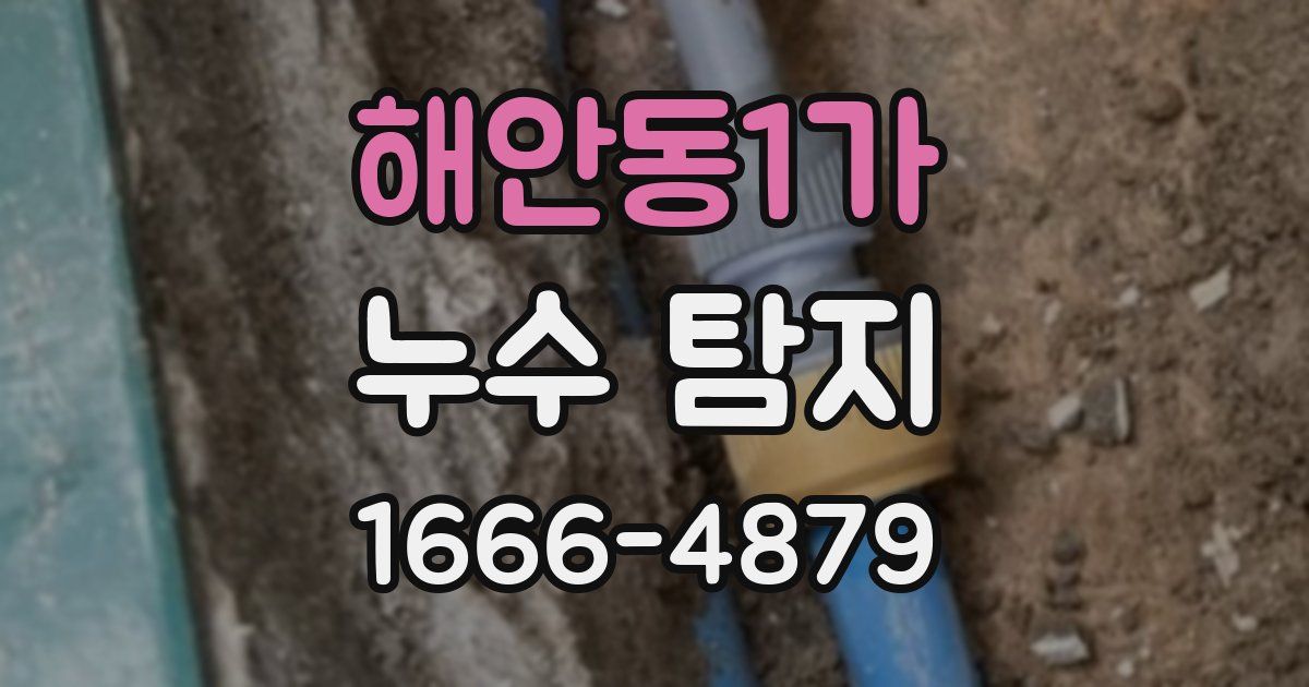 해안동1가 누수 탐지