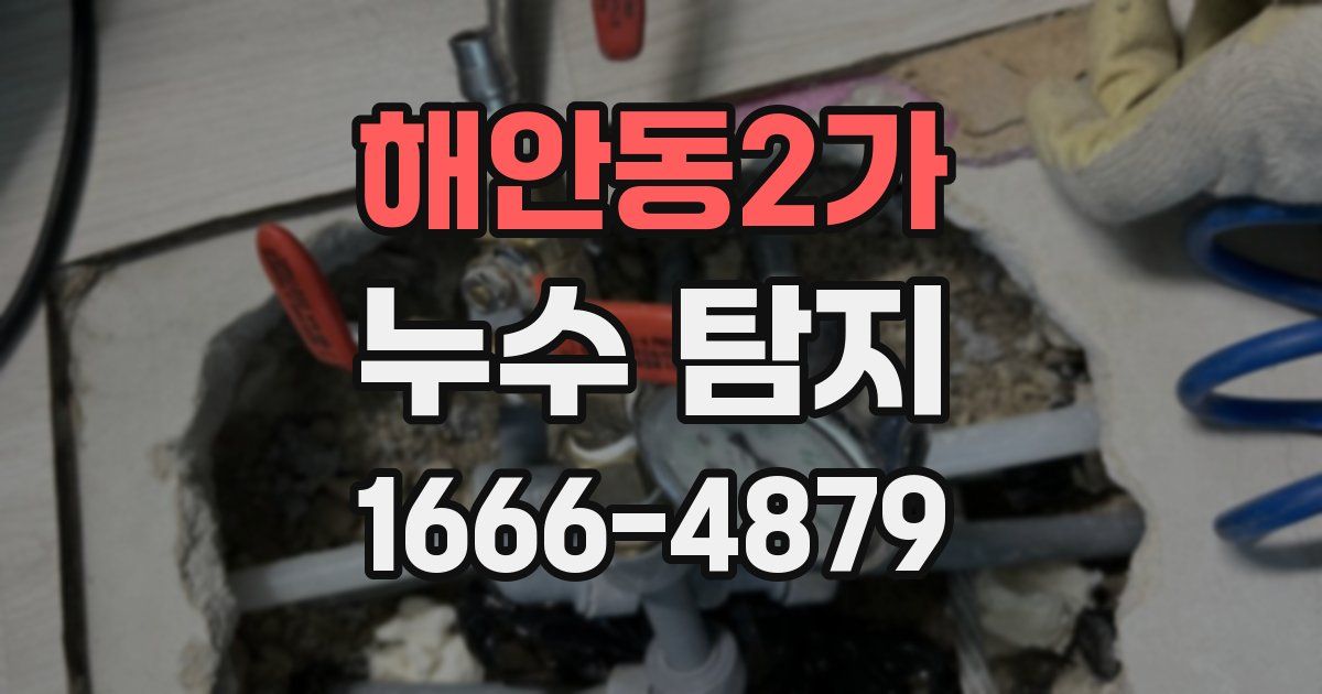 해안동2가 누수 탐지