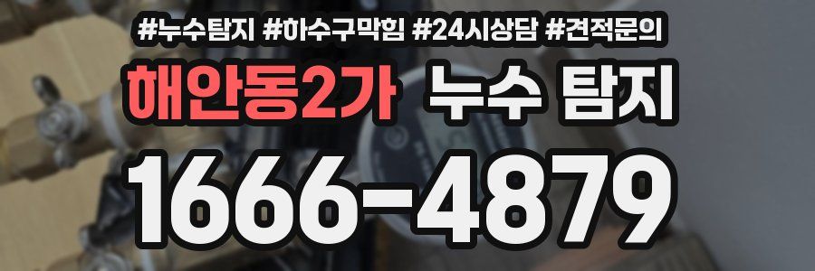 해안동2가 누수 탐지