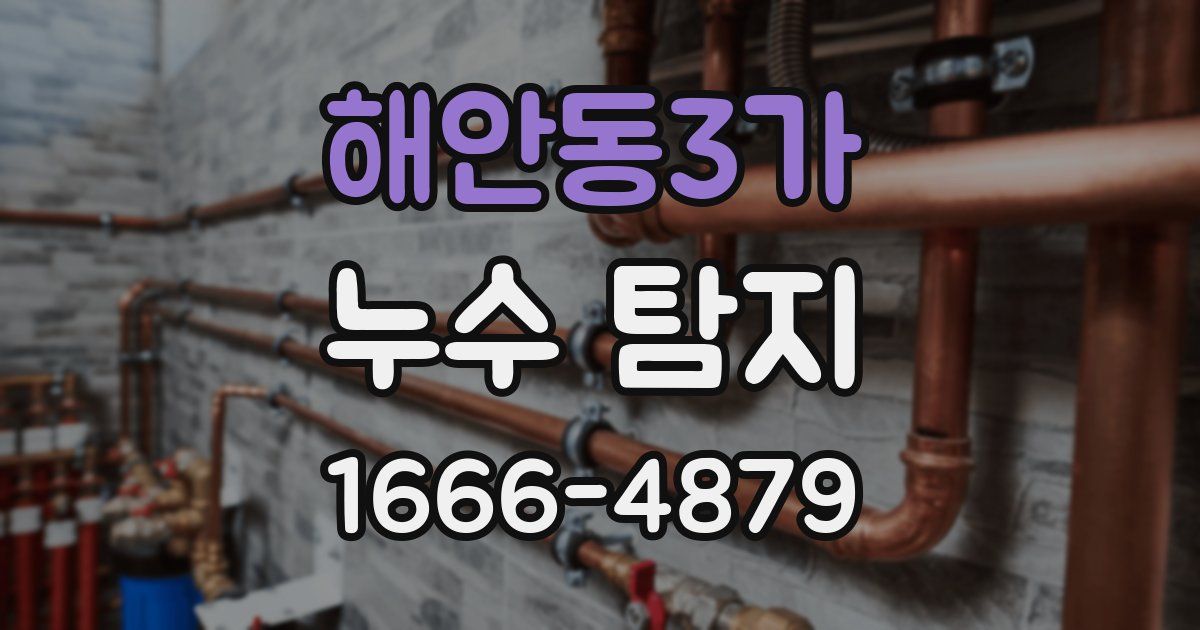 해안동3가 누수 탐지