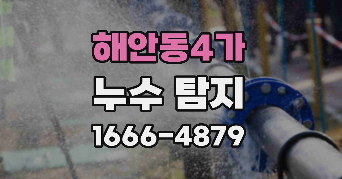 해안동4가 누수 탐지