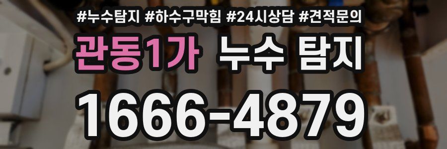 관동1가 누수 탐지