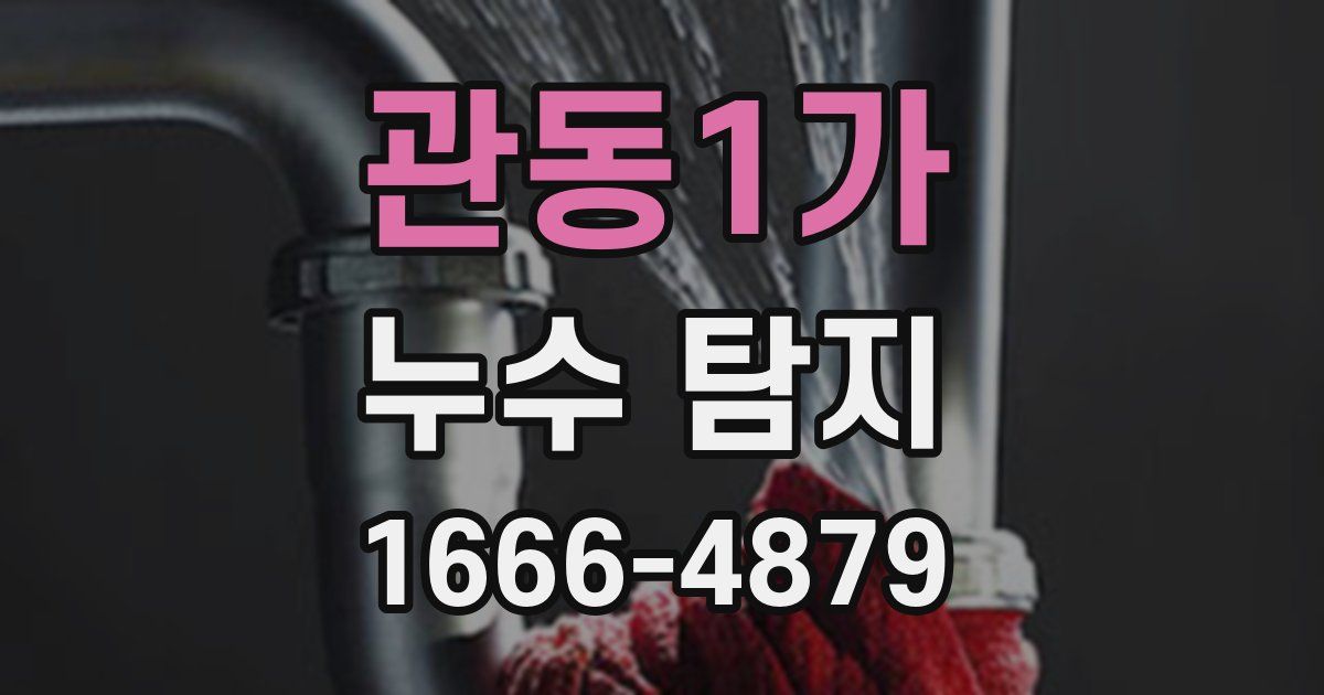 관동1가 누수 탐지