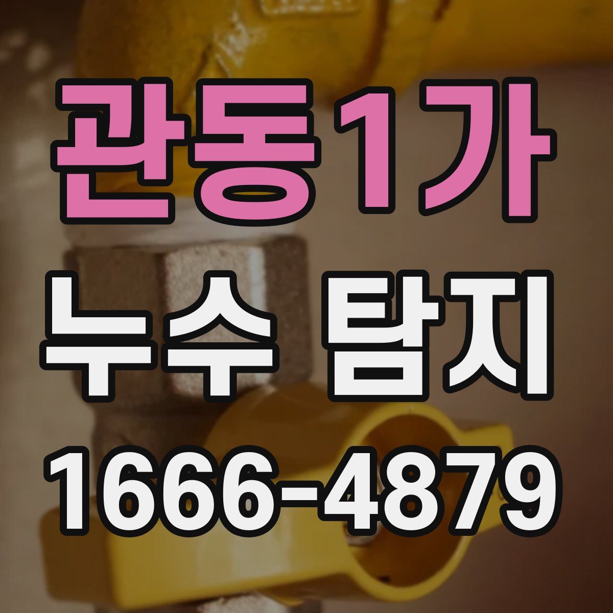 관동1가 누수 탐지