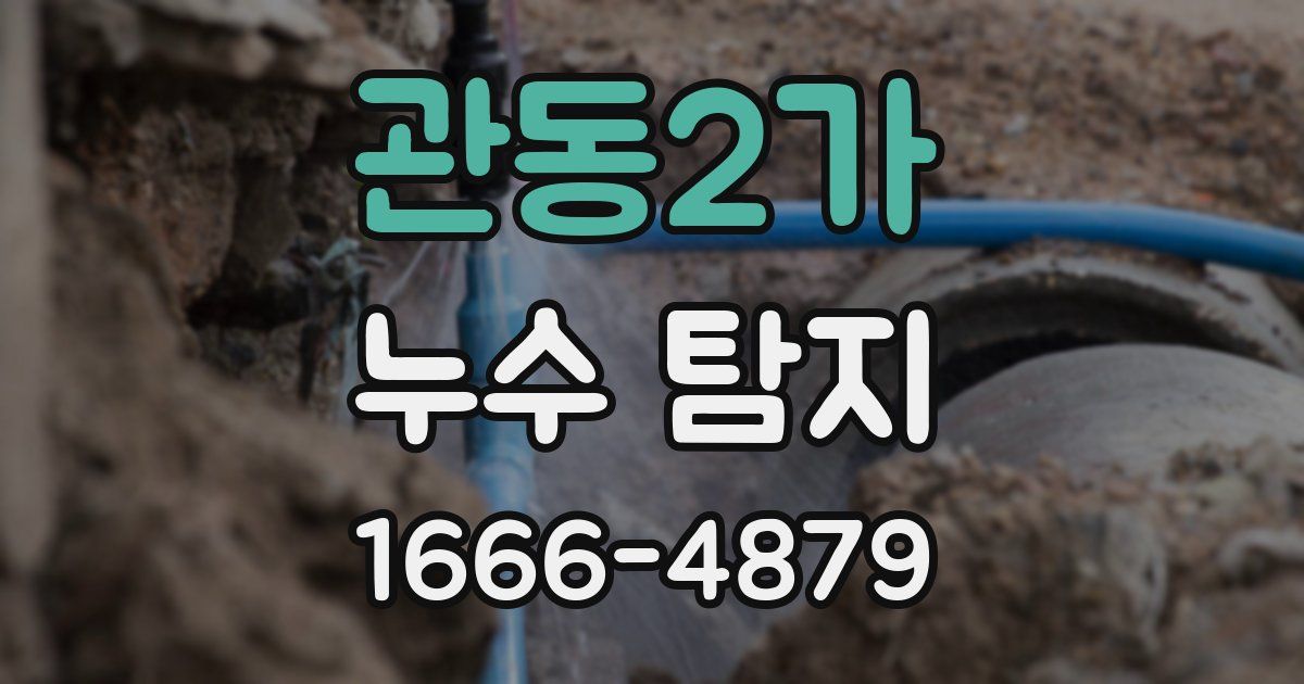 관동2가 누수 탐지
