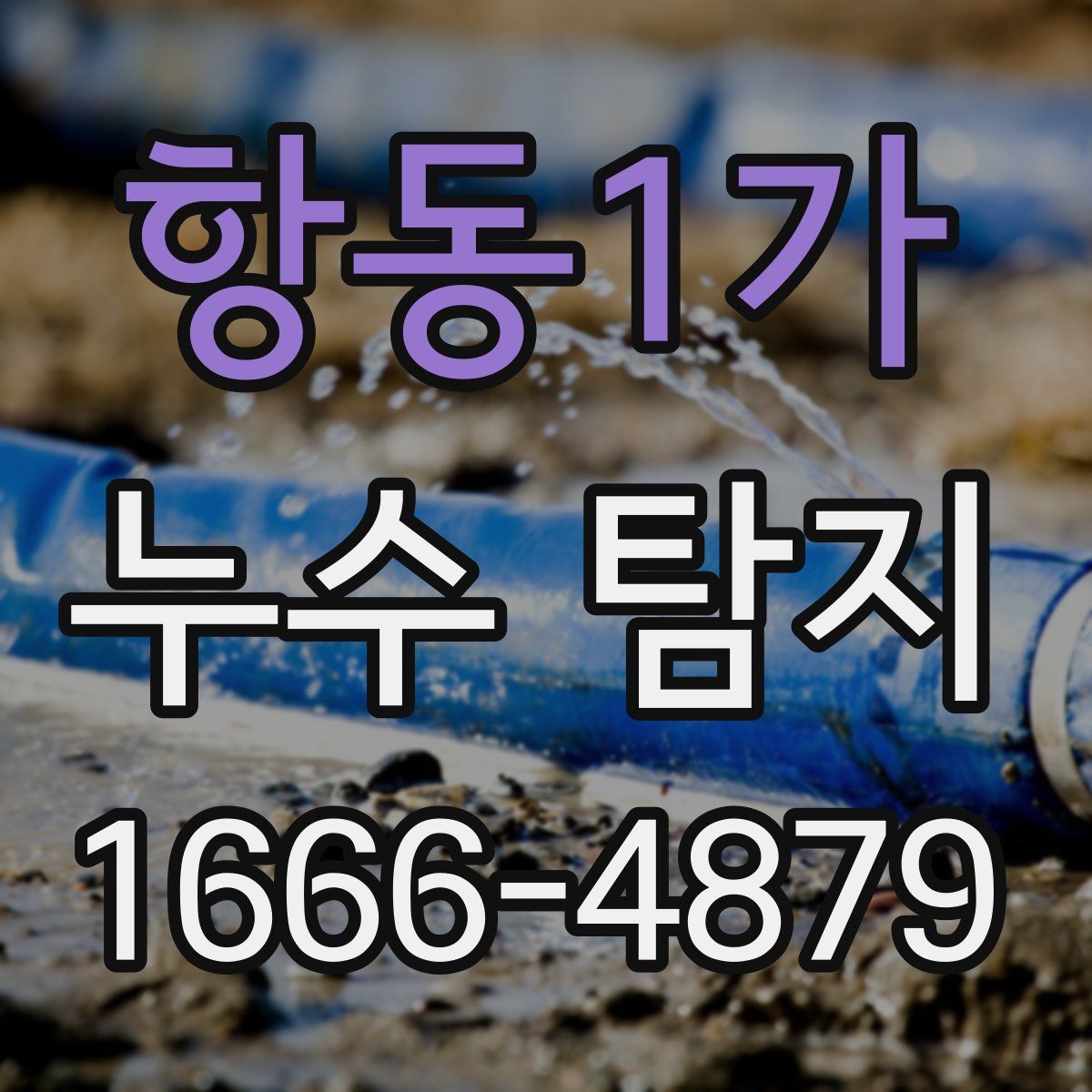 항동1가 누수 탐지