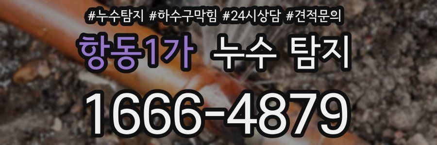 항동1가 누수 탐지