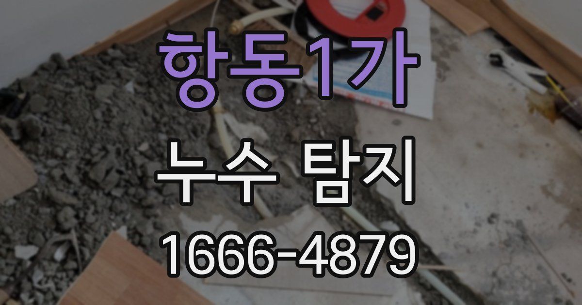 항동1가 누수 탐지