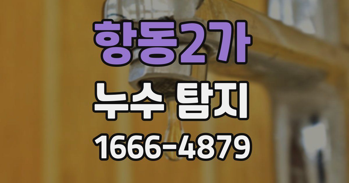 항동2가 누수 탐지