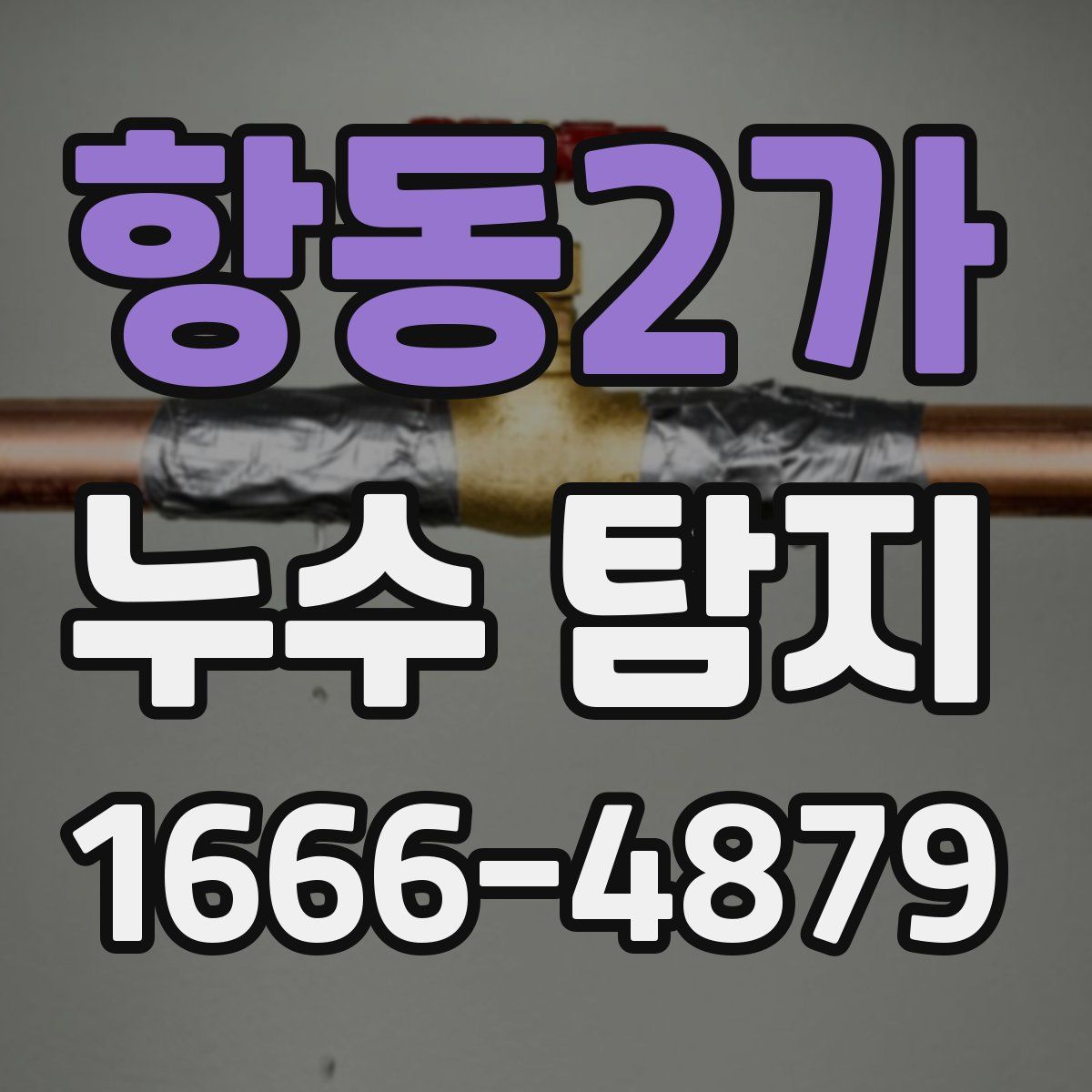 항동2가 누수 탐지