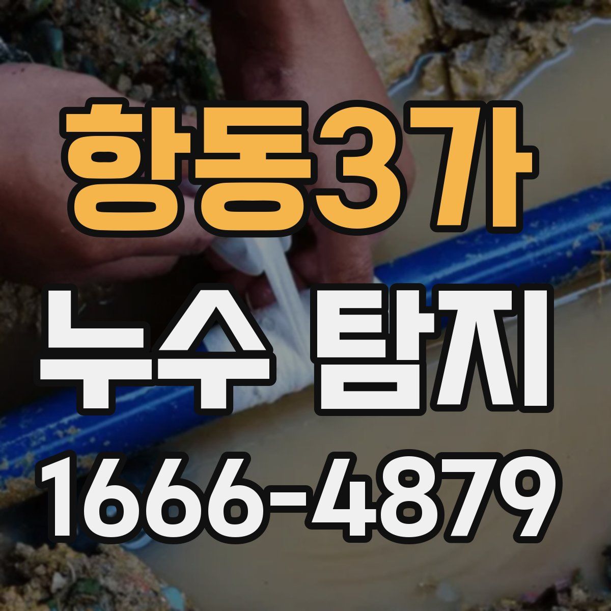 항동3가 누수 탐지