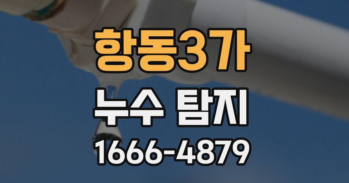항동3가 누수 탐지
