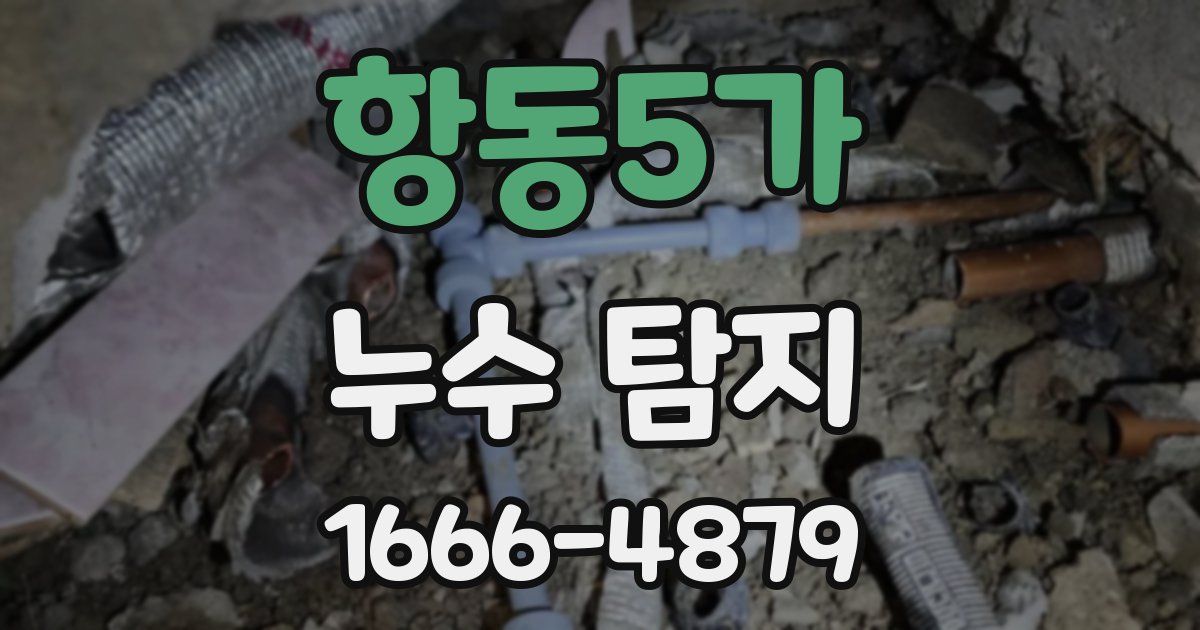 항동5가 누수 탐지