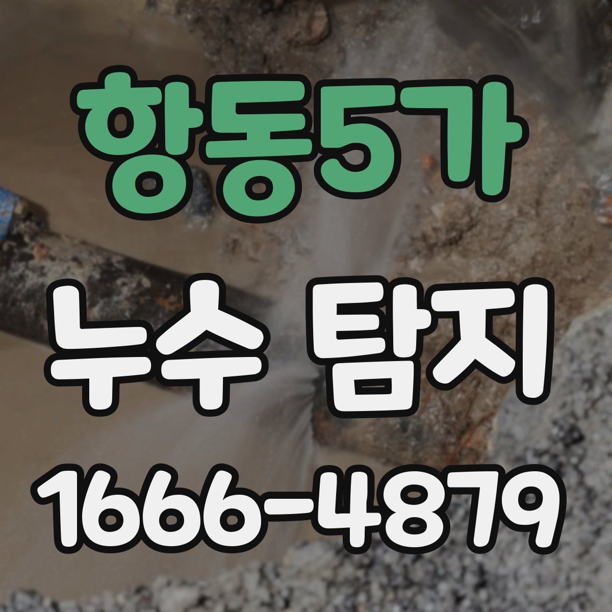 항동5가 누수 탐지