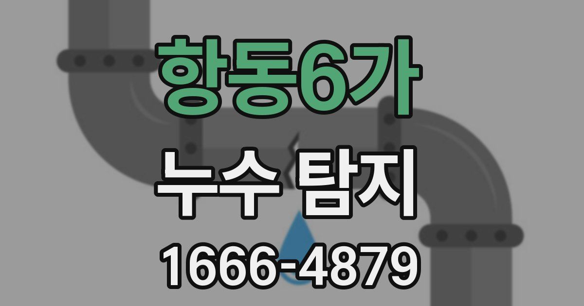 항동6가 누수 탐지
