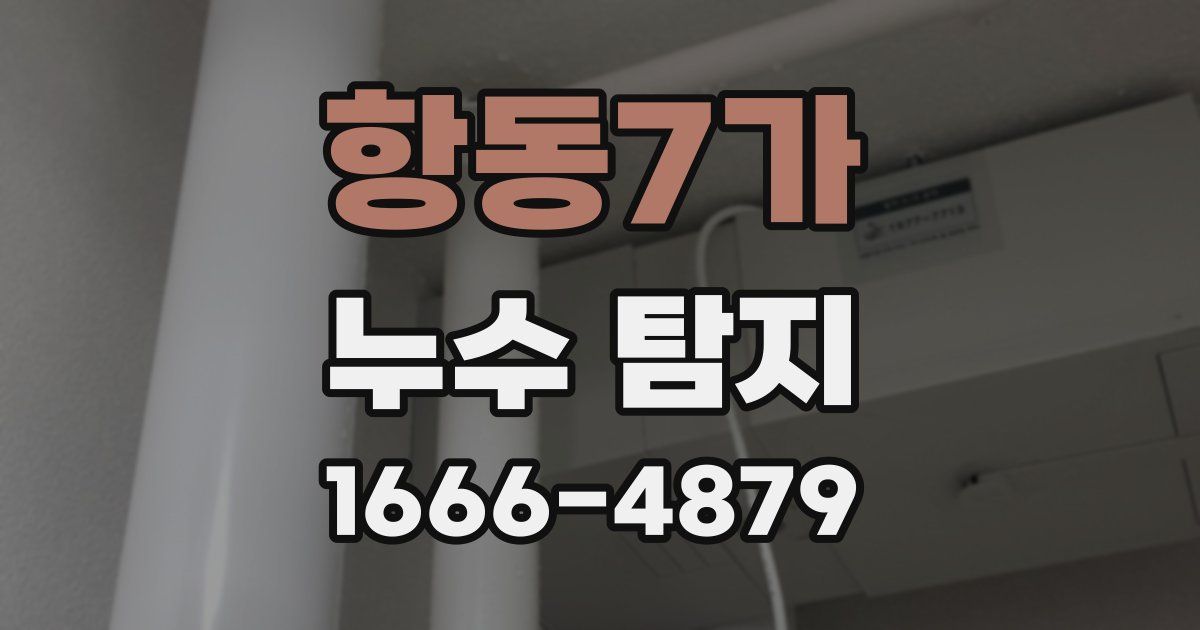 항동7가 누수 탐지