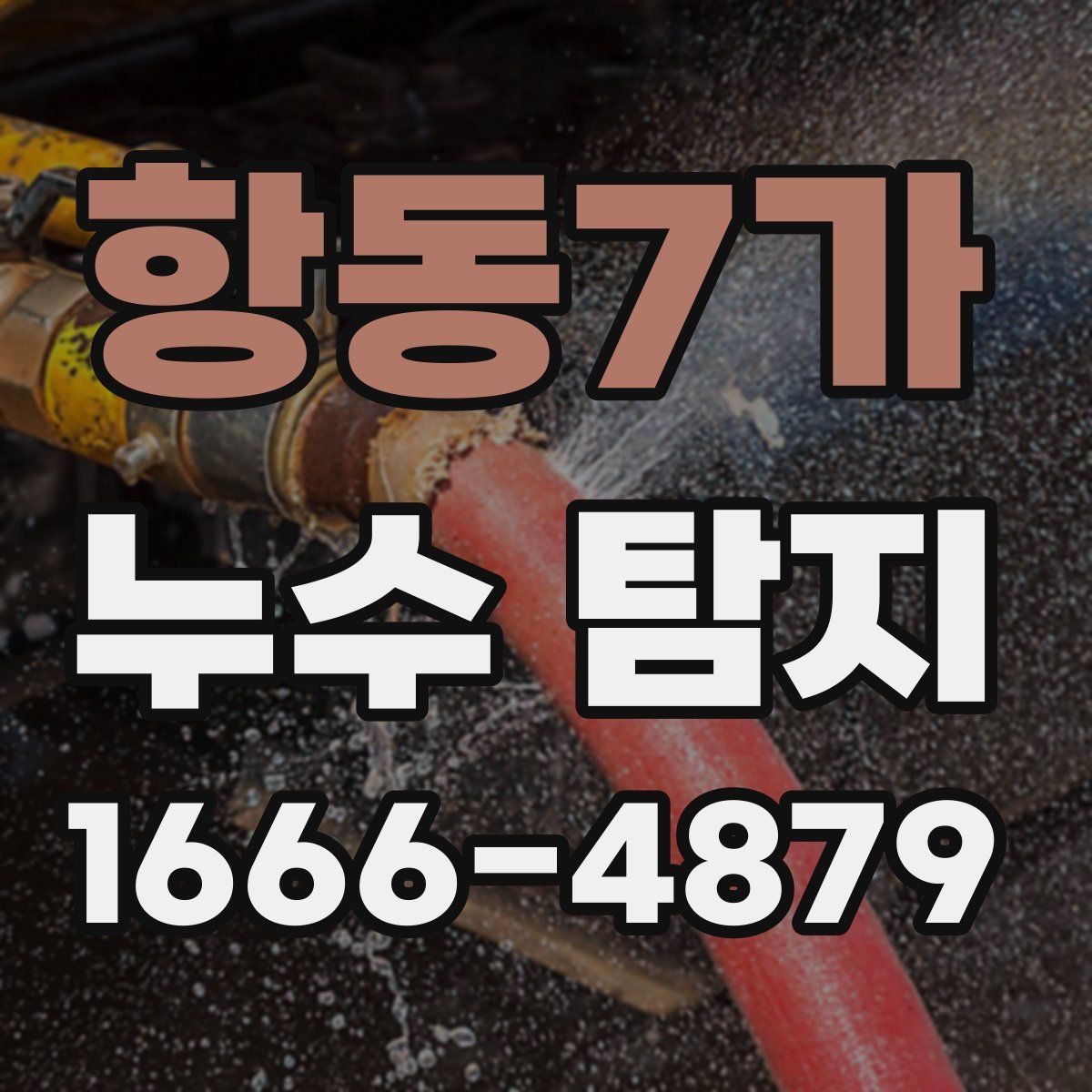 항동7가 누수 탐지