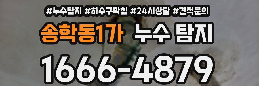 송학동1가 누수 탐지