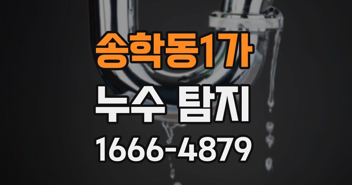 송학동1가 누수 탐지
