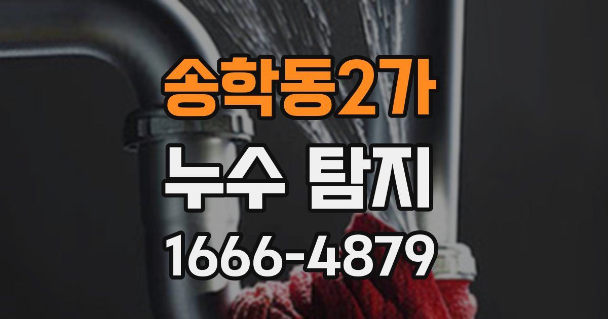 송학동2가 누수 탐지