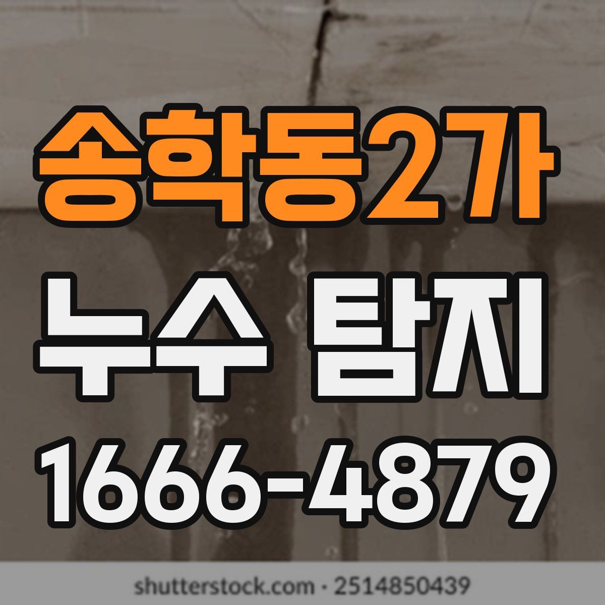 송학동2가 누수 탐지
