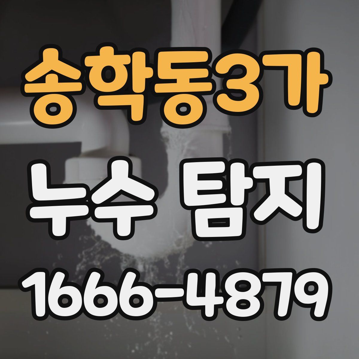 송학동3가 누수 탐지