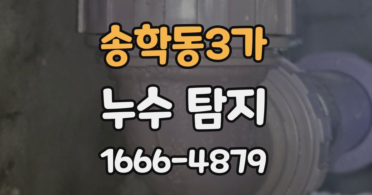 송학동3가 누수 탐지