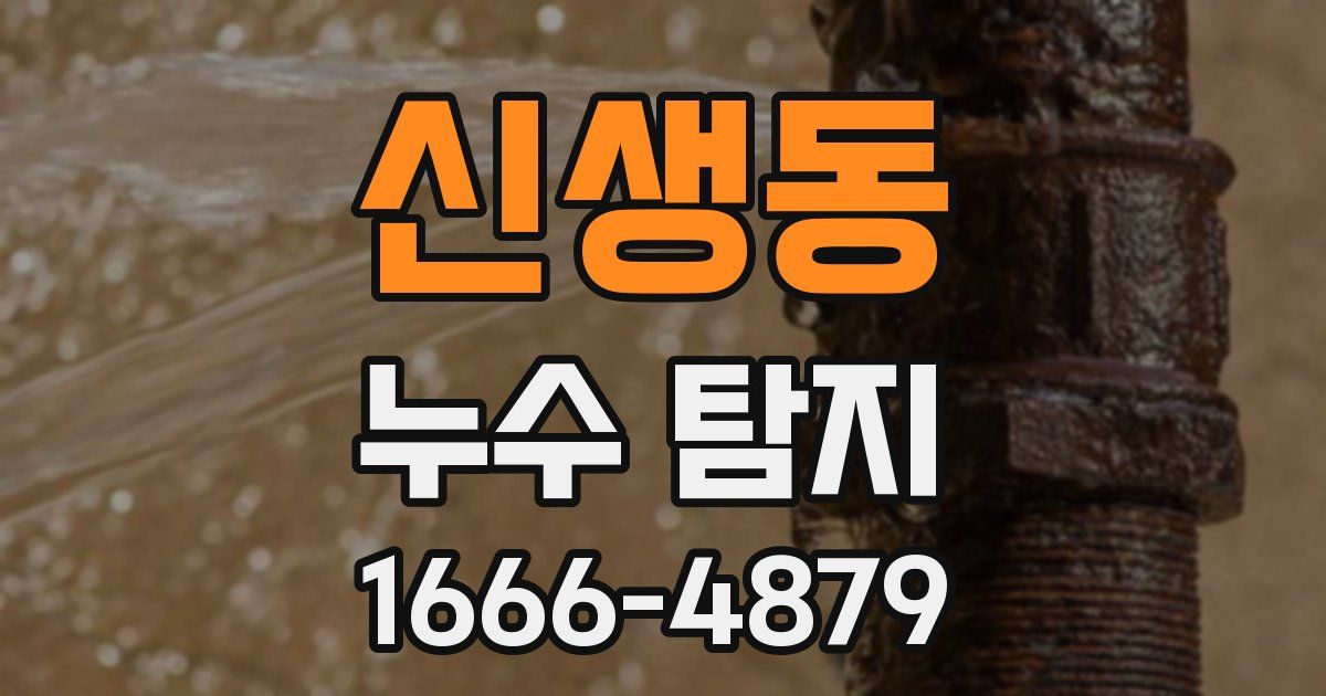 신생동 누수 탐지