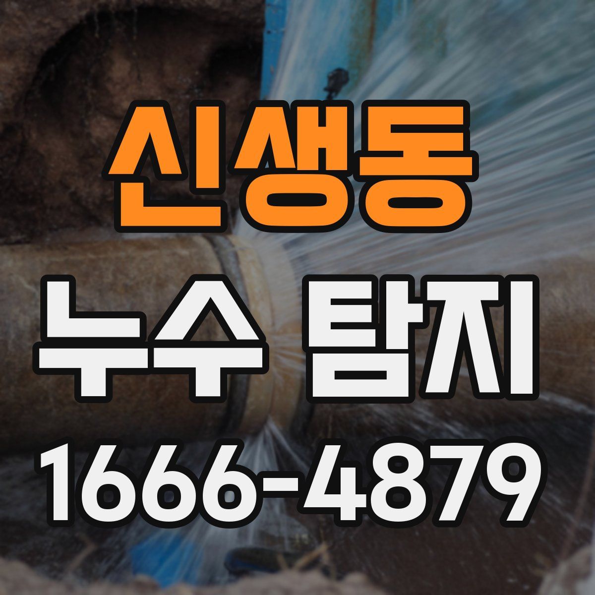 신생동 누수 탐지