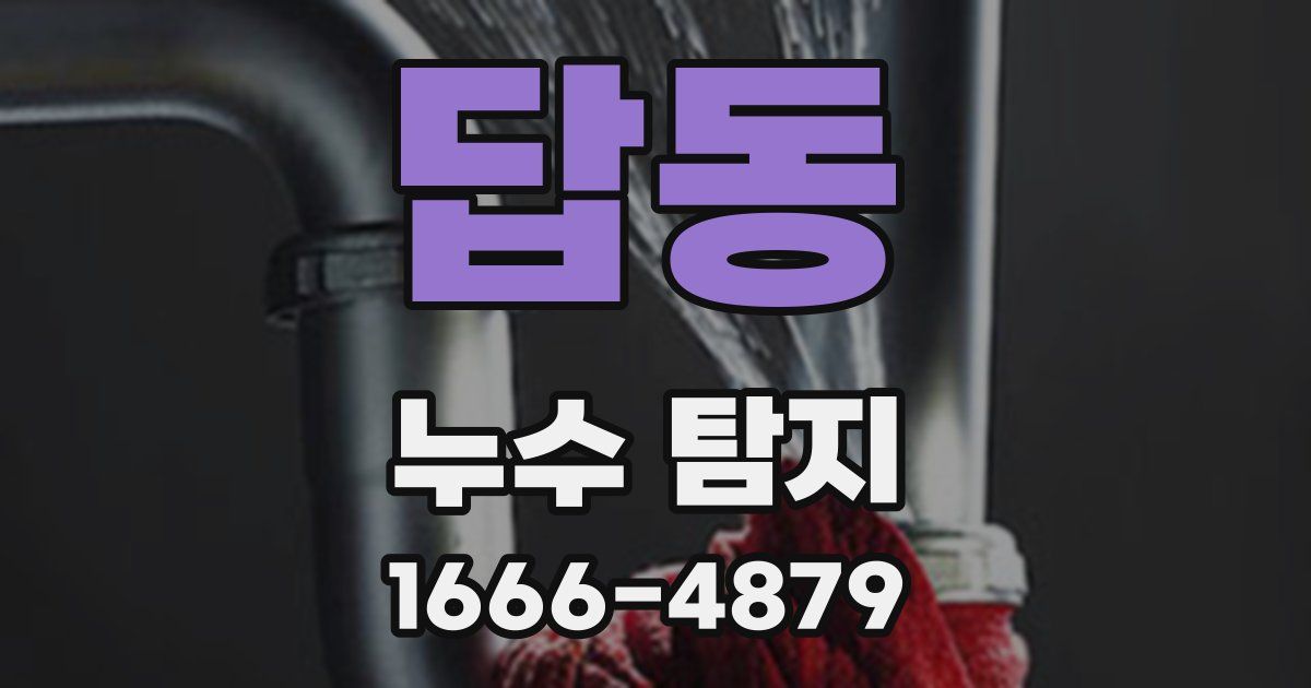 답동 누수 탐지