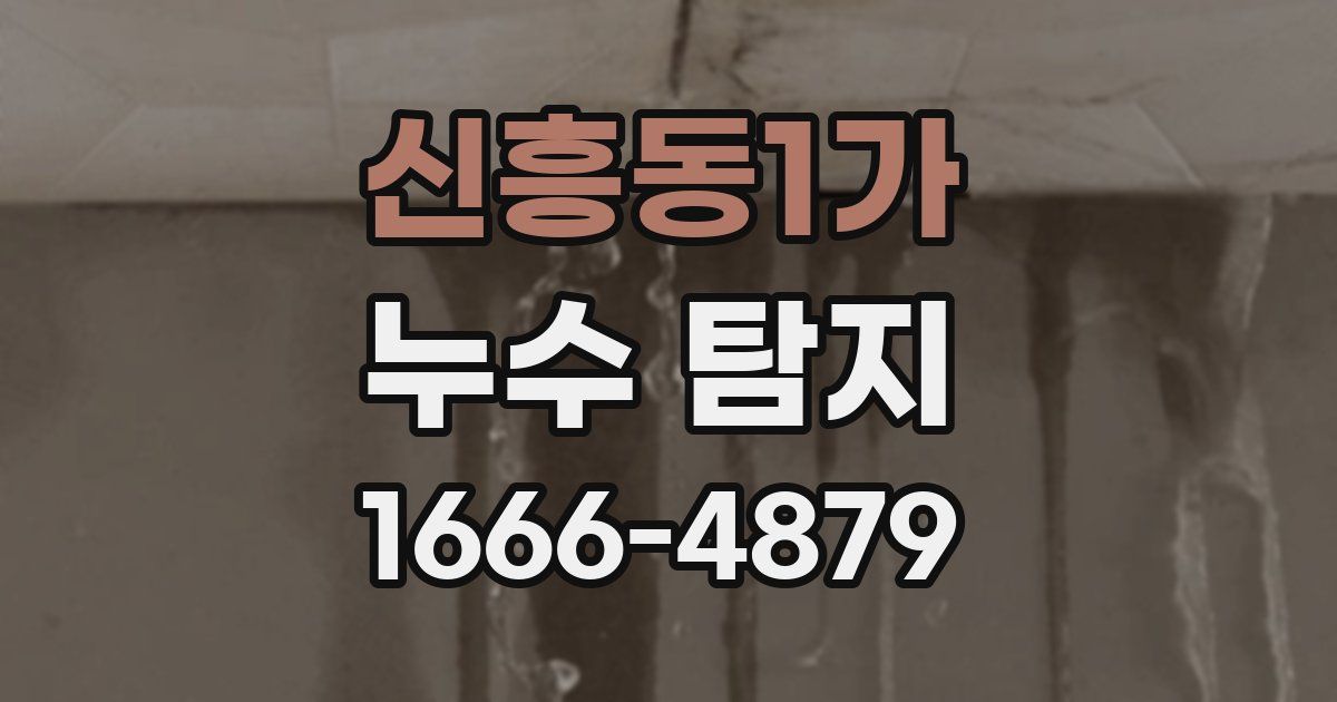 신흥동1가 누수 탐지