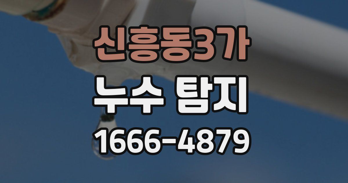 신흥동3가 누수 탐지