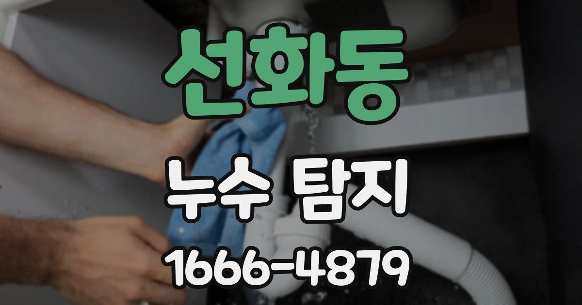 선화동 누수 탐지