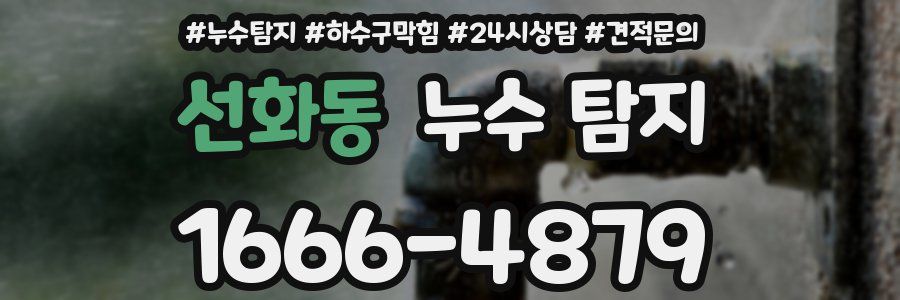 선화동 누수 탐지